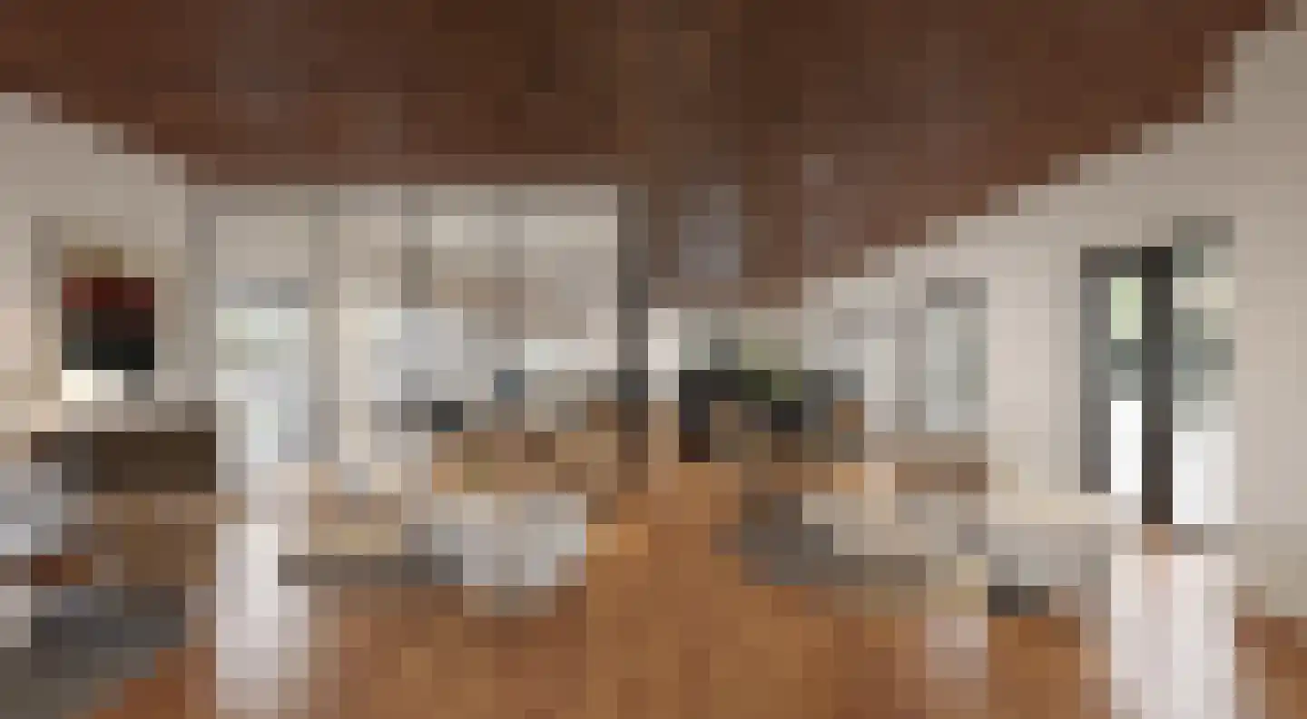 Googweg 1 Muiderberg thumbnail 15