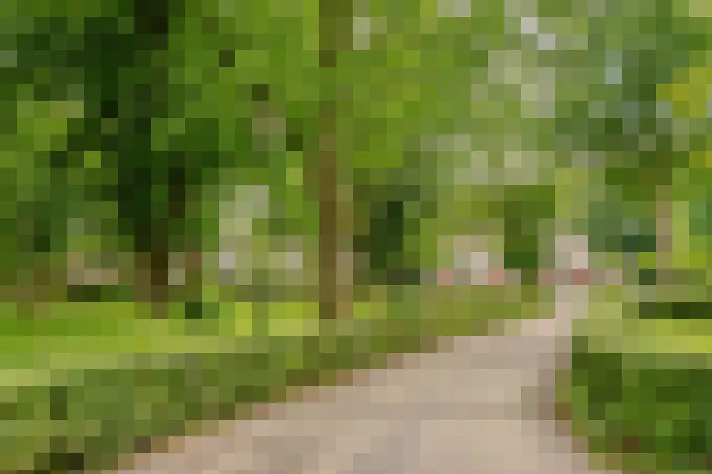 Googweg 1 Muiderberg thumbnail 28