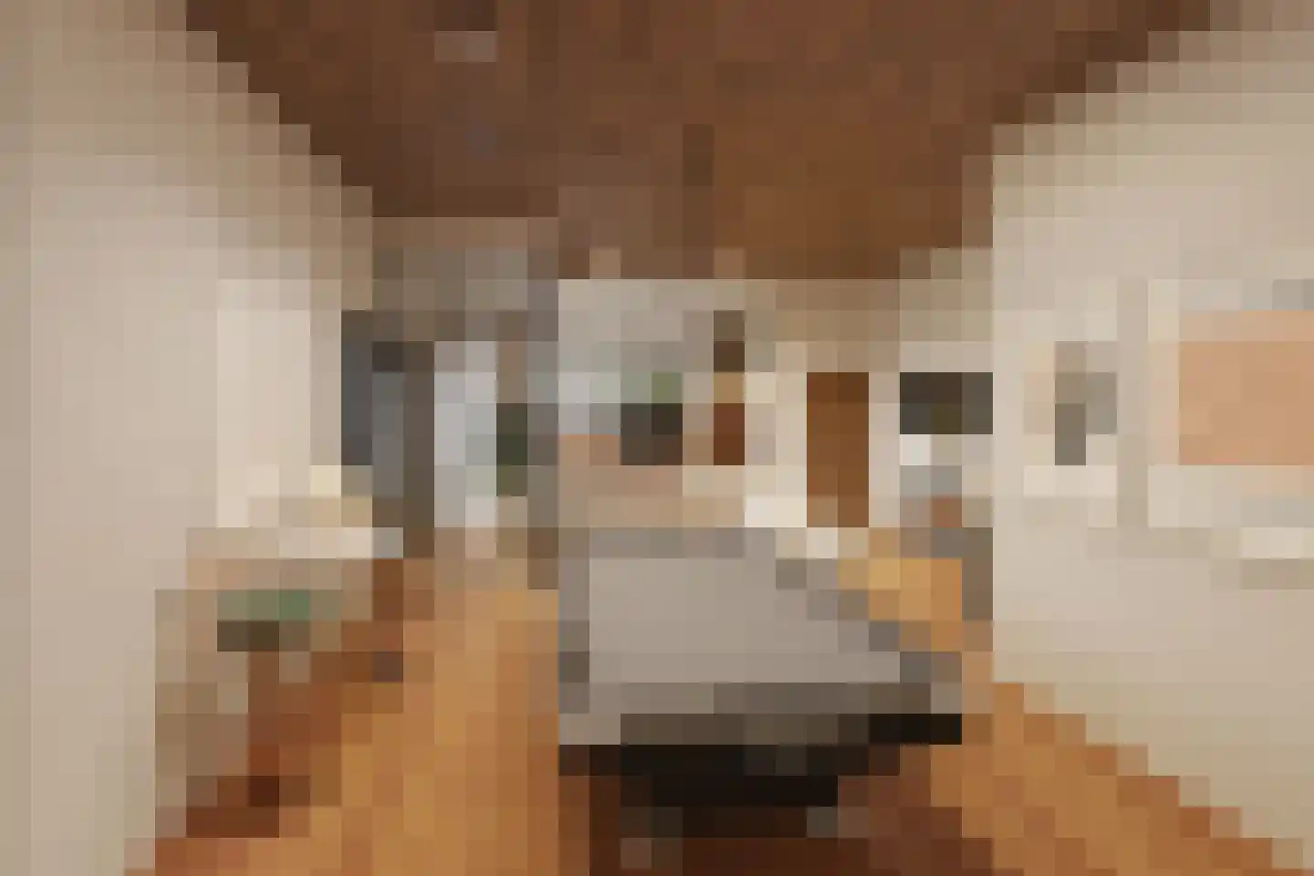 Googweg 1 Muiderberg thumbnail 6