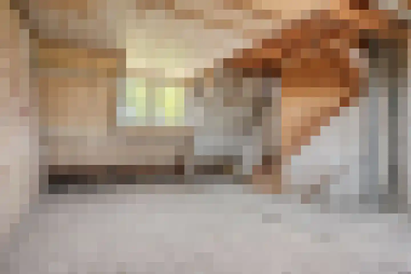 Googweg 19 Muiderberg thumbnail 27