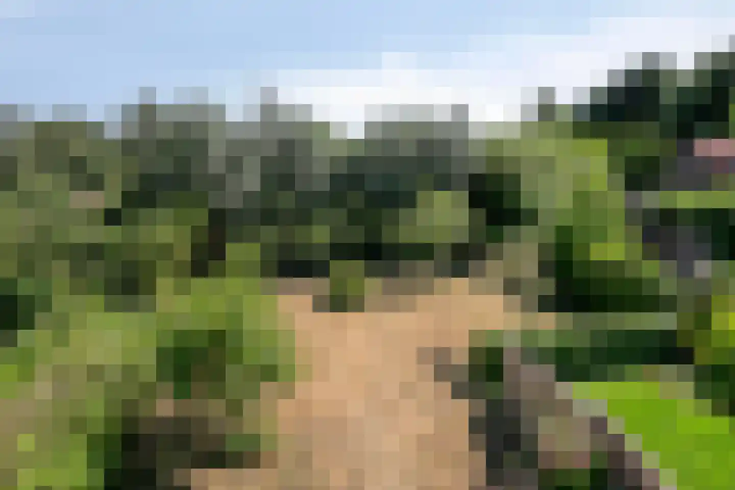 Googweg 19 Muiderberg thumbnail 29