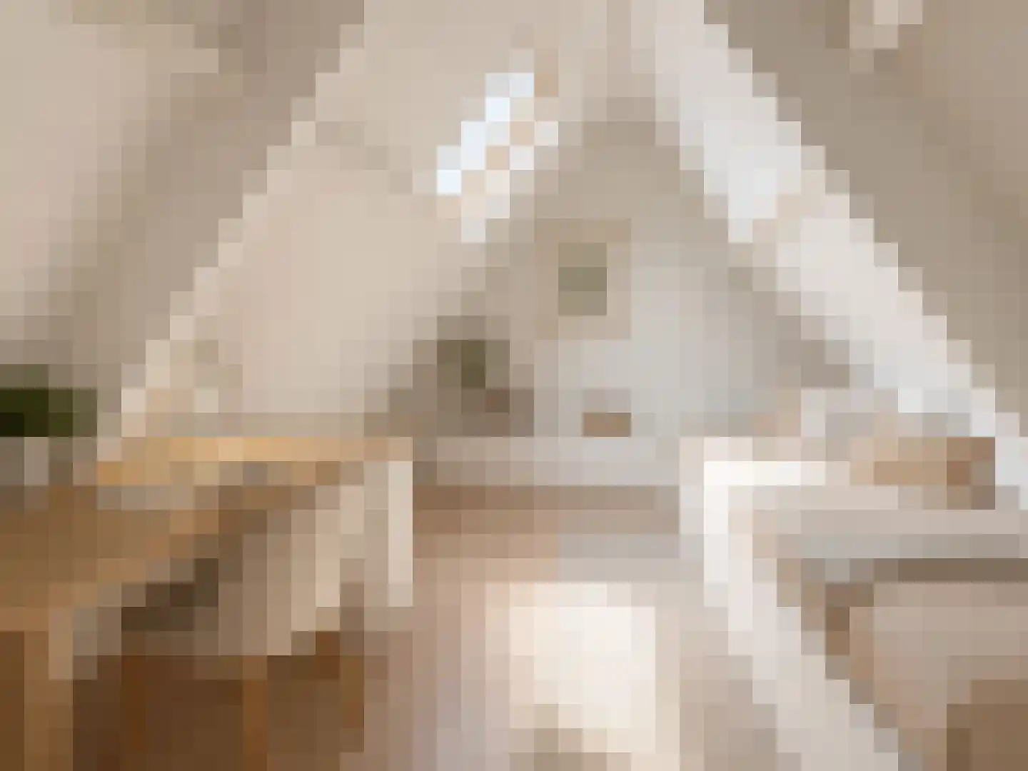 Googweg 19 Muiderberg thumbnail 31