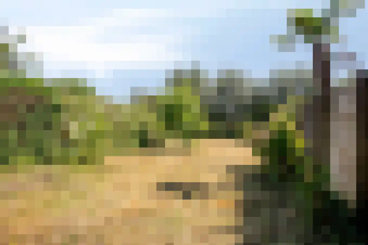 Googweg 19 Muiderberg thumbnail 6