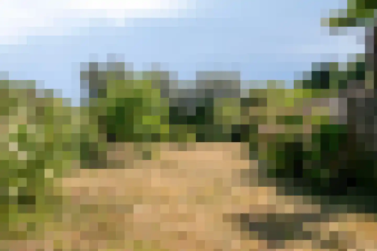 Googweg 19 Muiderberg thumbnail 9