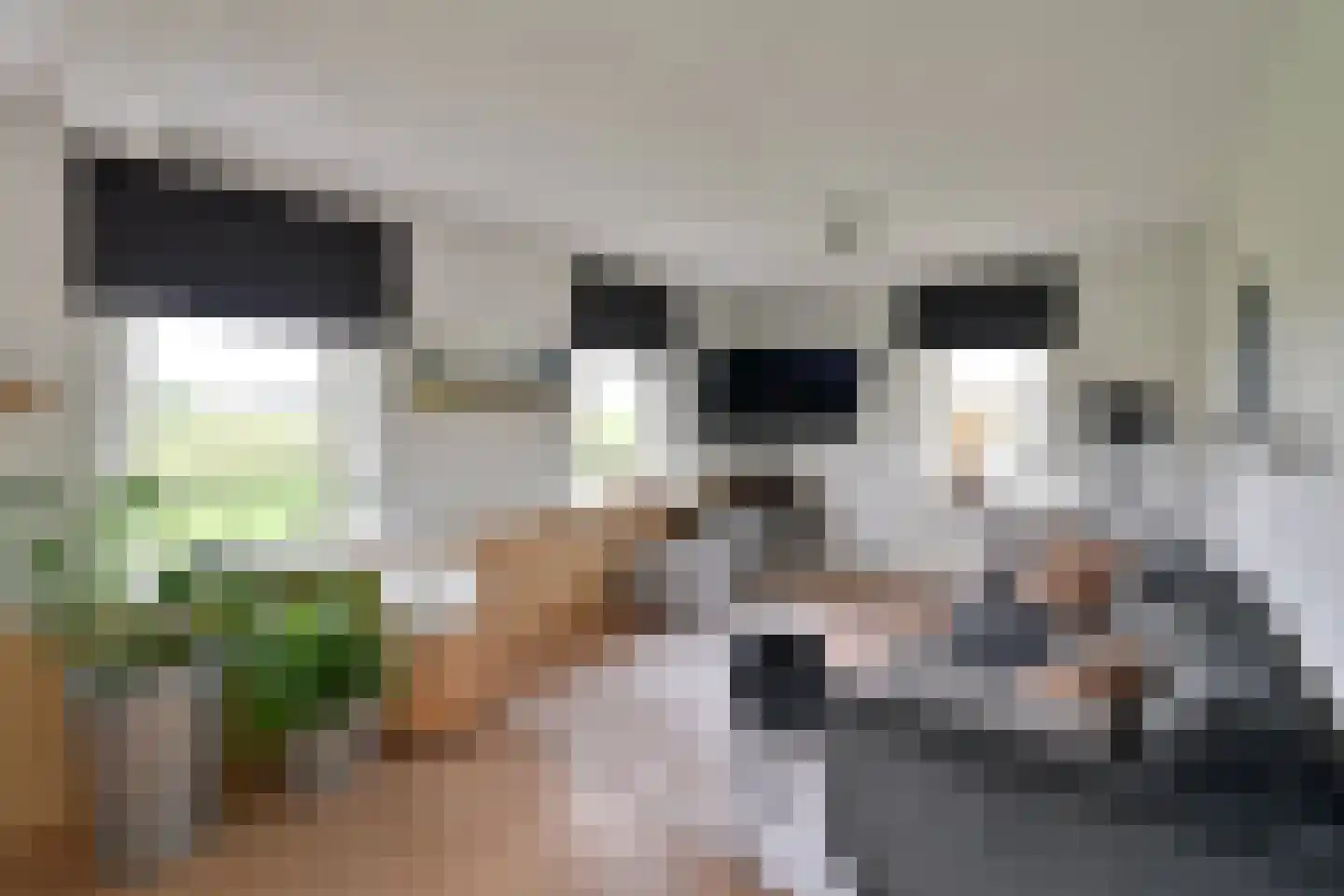 Googweg 22 Muiderberg thumbnail 12