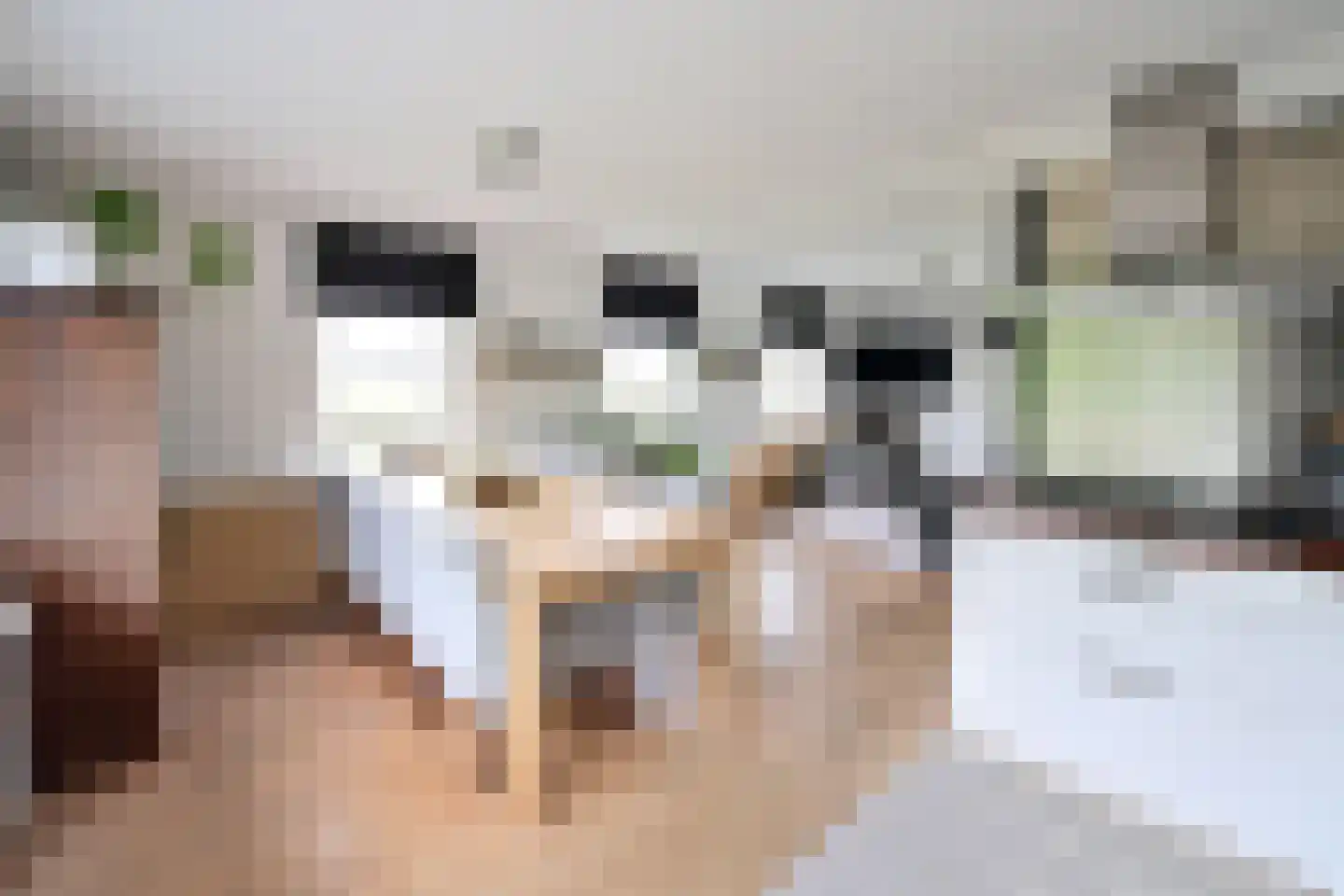 Googweg 22 Muiderberg thumbnail 16