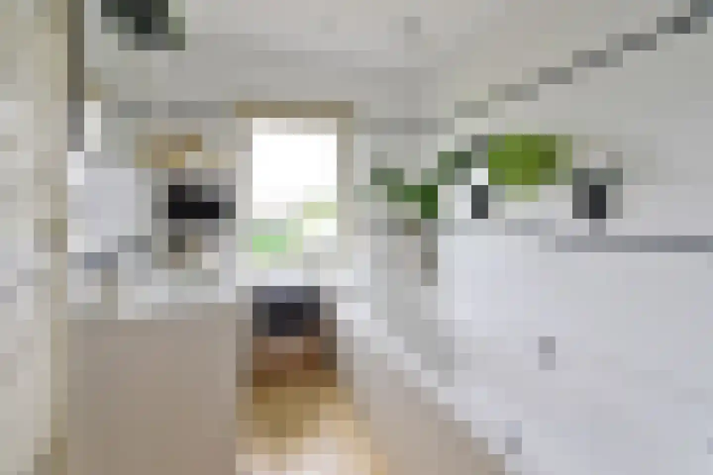 Googweg 22 Muiderberg thumbnail 18