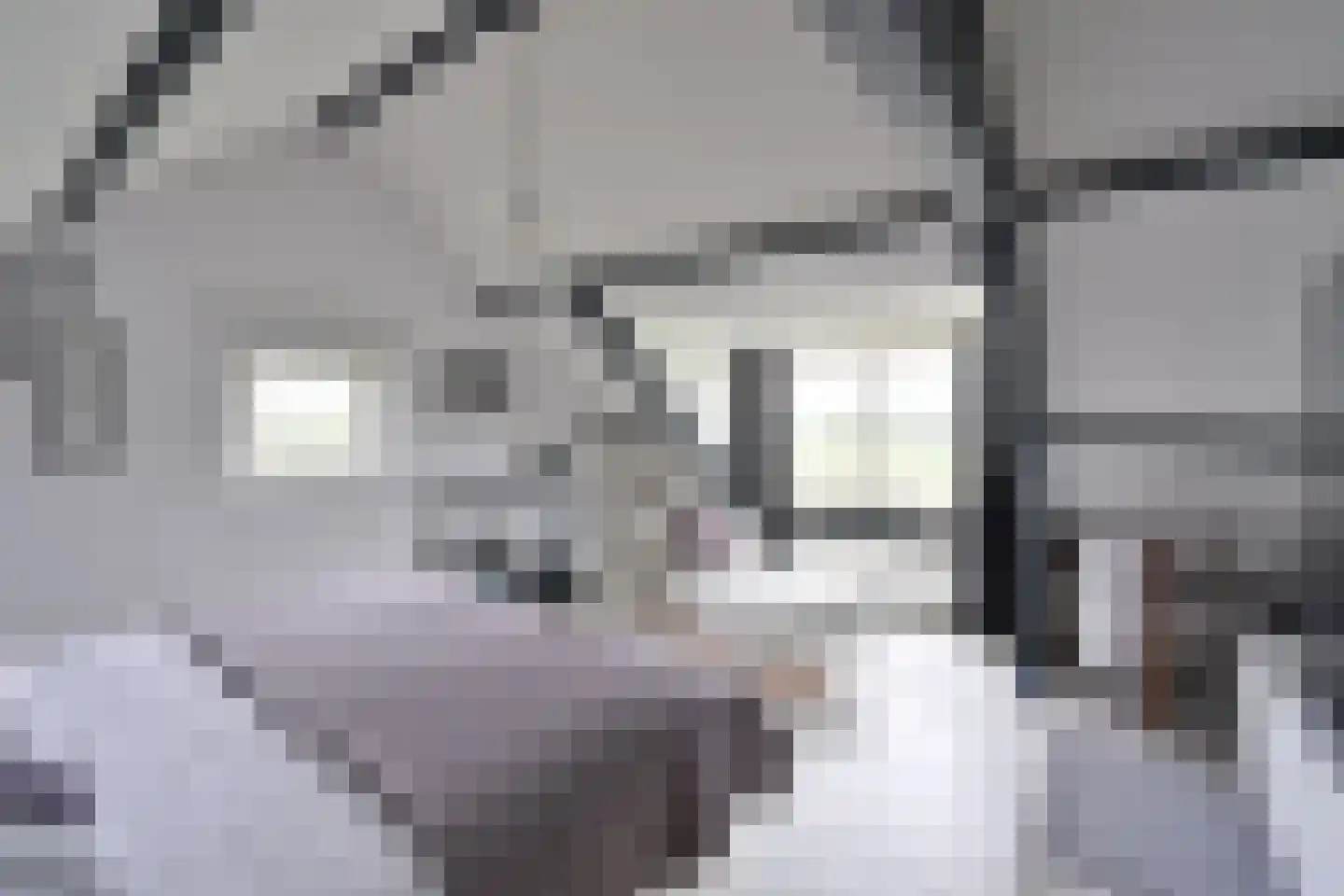 Googweg 22 Muiderberg thumbnail 19
