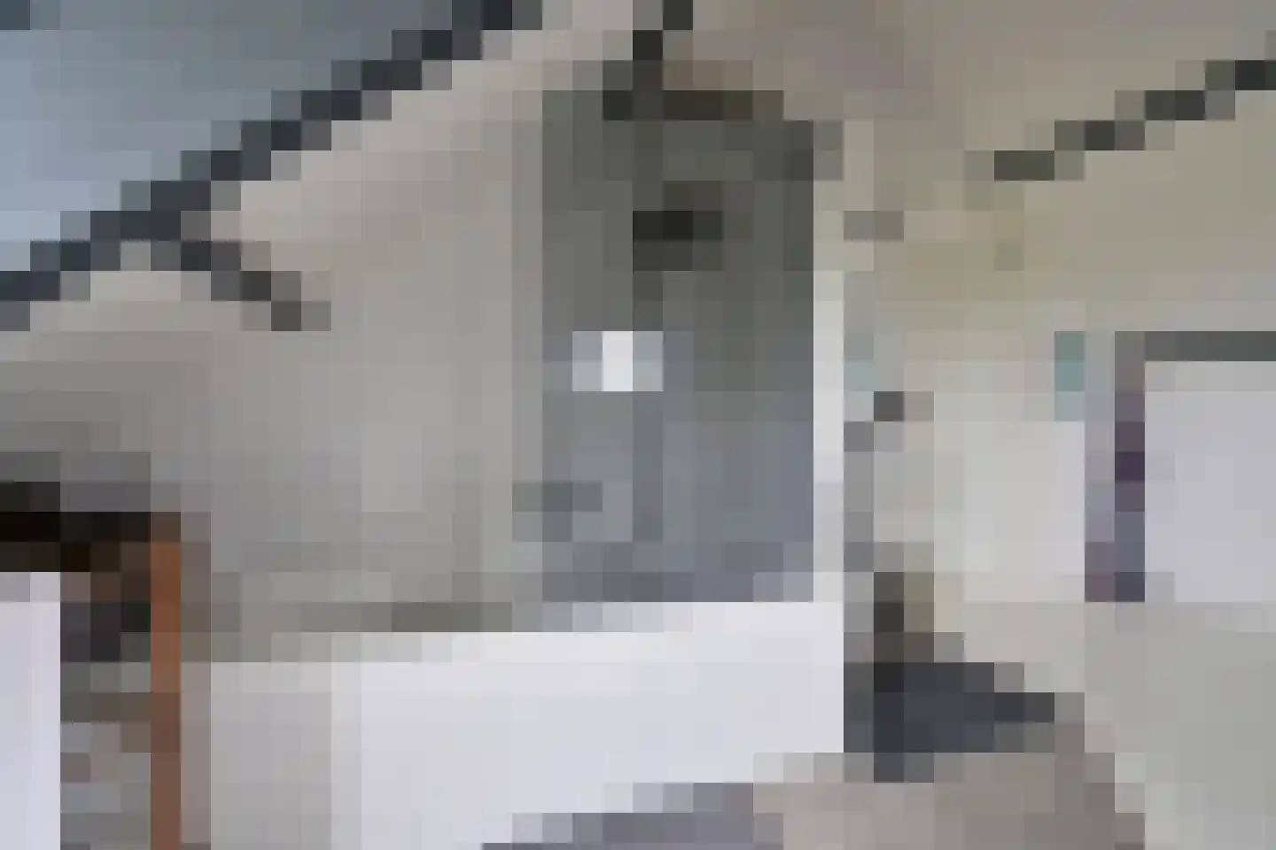 Googweg 22 Muiderberg thumbnail 21