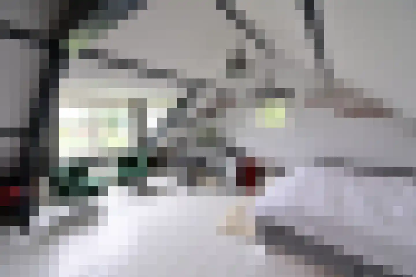 Googweg 22 Muiderberg thumbnail 22