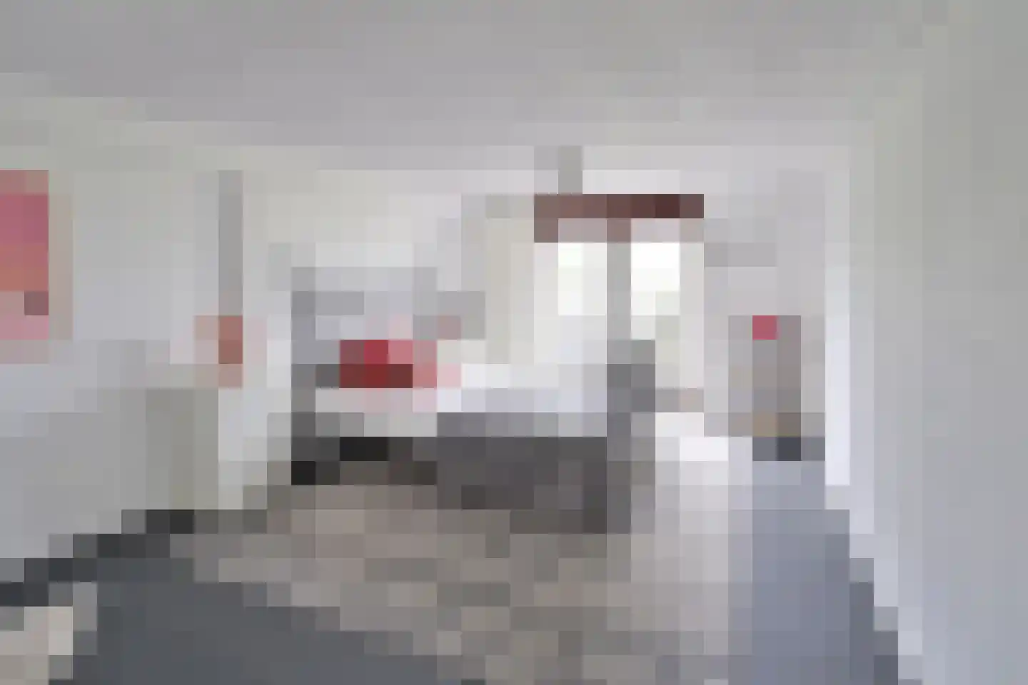 Googweg 22 Muiderberg thumbnail 25