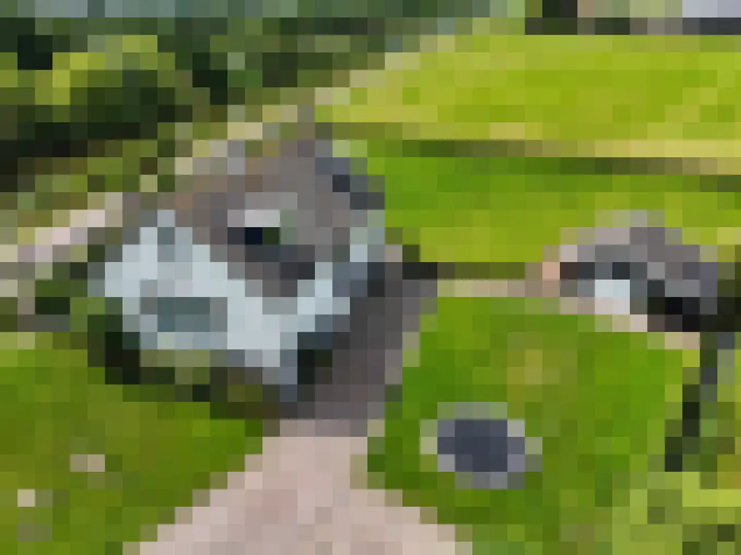Googweg 22 Muiderberg thumbnail 30