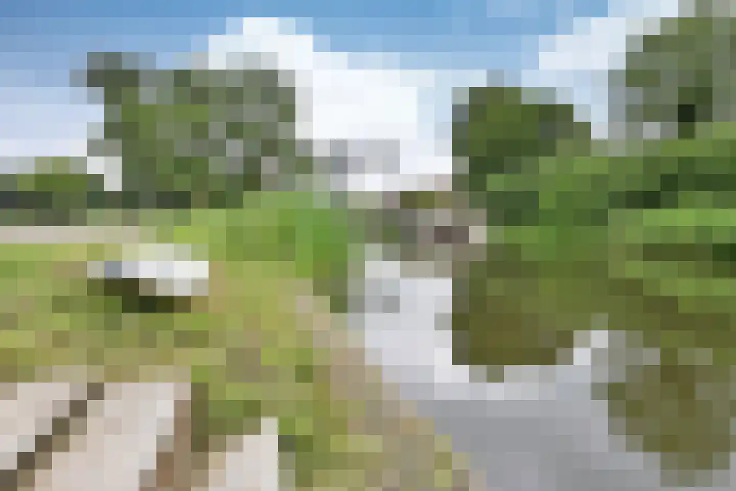 Googweg 22 Muiderberg thumbnail 38