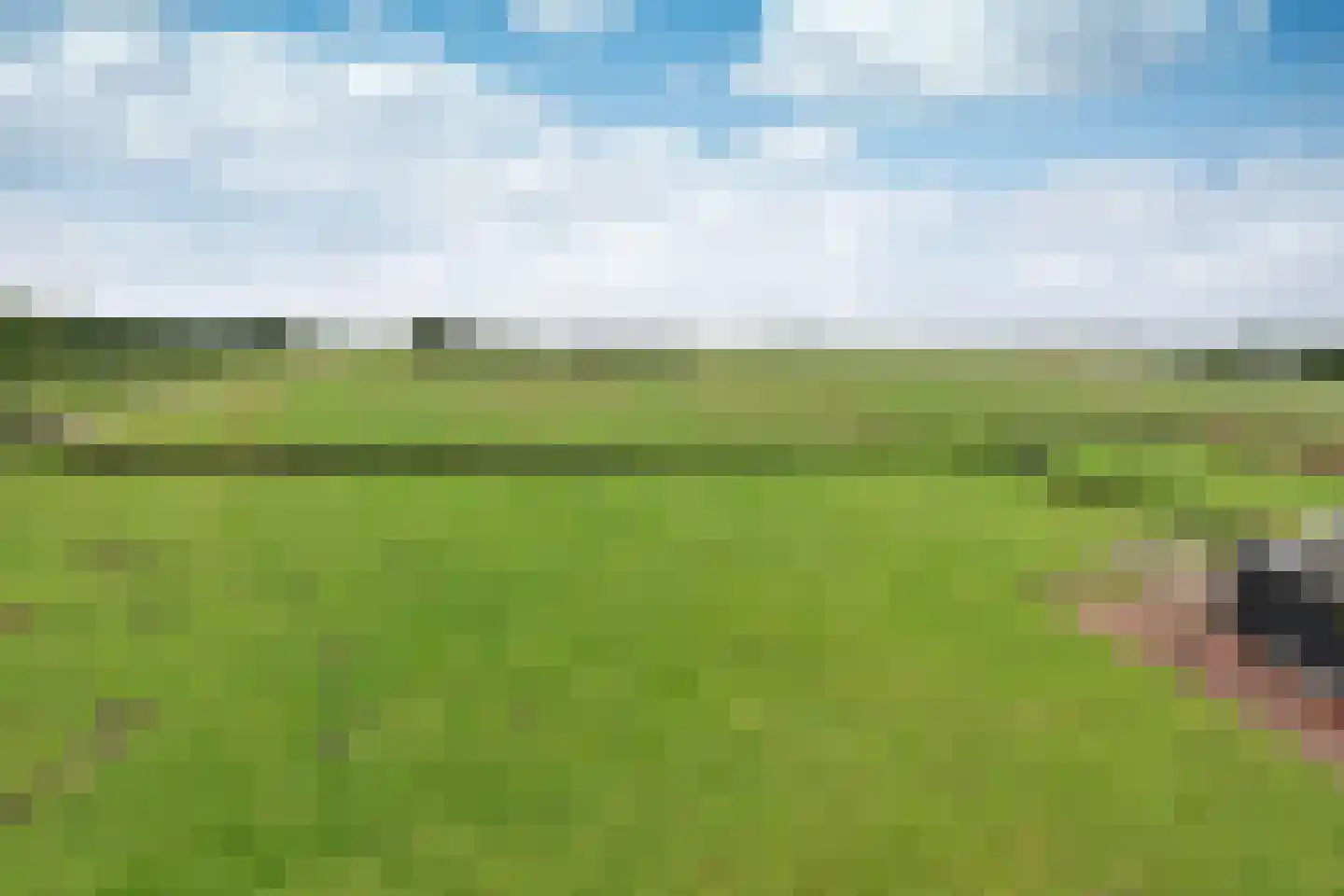 Googweg 22 Muiderberg thumbnail 39