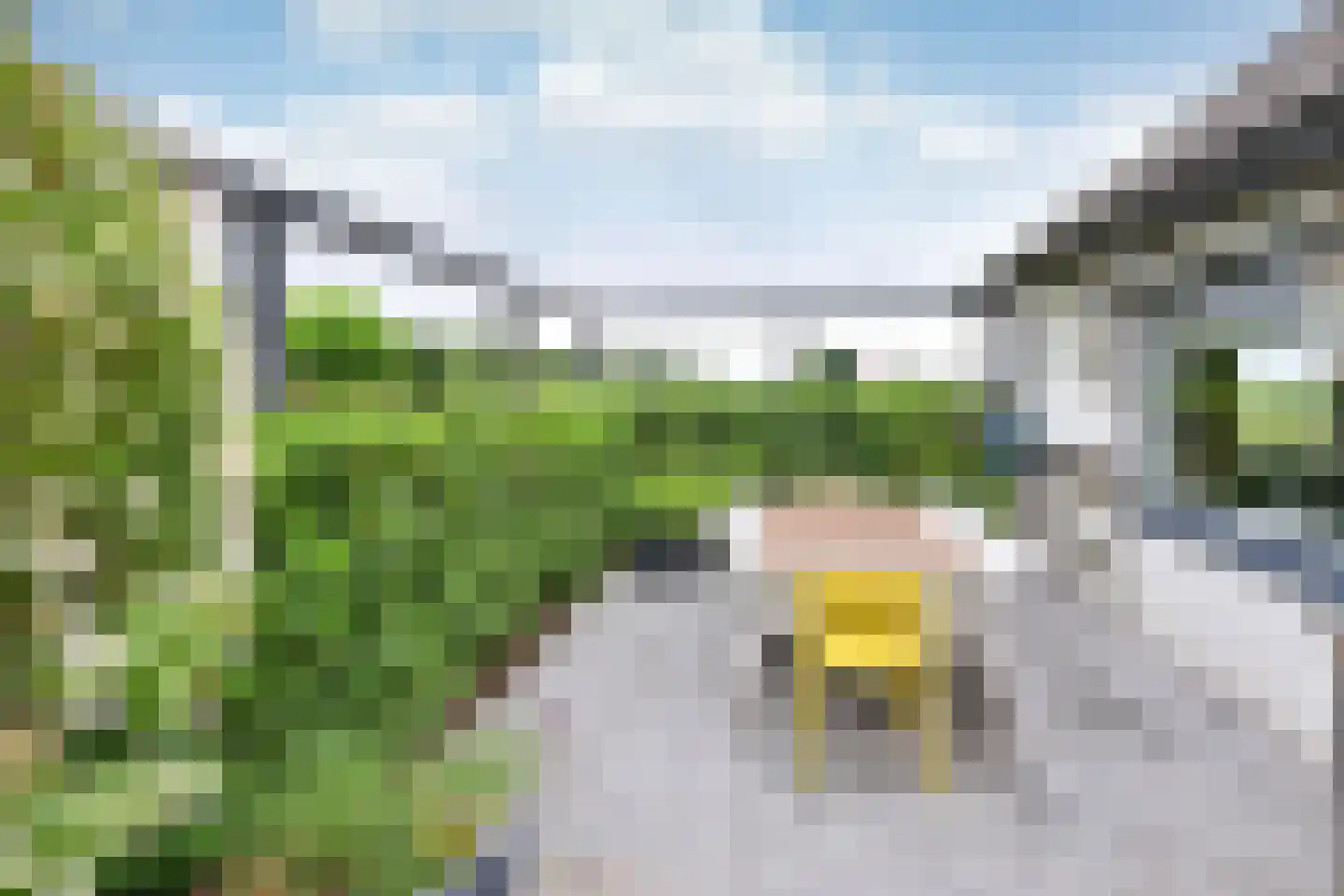 Googweg 22 Muiderberg thumbnail 7