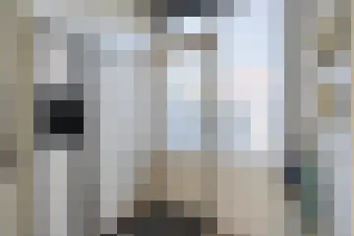 Goohorstlaan 15 Noordwijk thumbnail 11