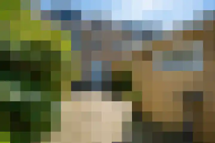 Goohorstlaan 15 Noordwijk thumbnail 33