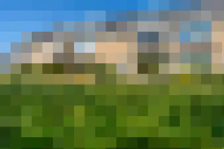 Goohorstlaan 15 Noordwijk thumbnail 35