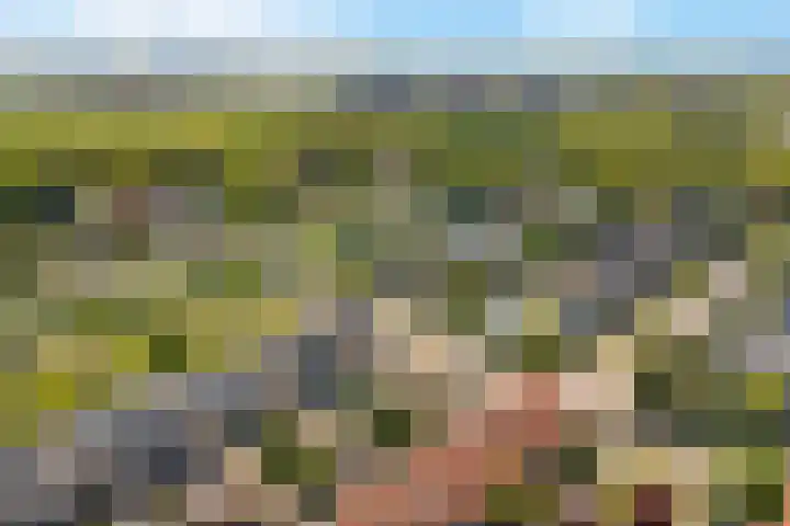 Goohorstlaan 15 Noordwijk thumbnail 38