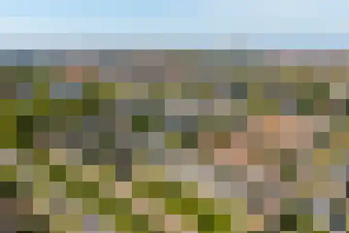 Goohorstlaan 15 Noordwijk thumbnail 39