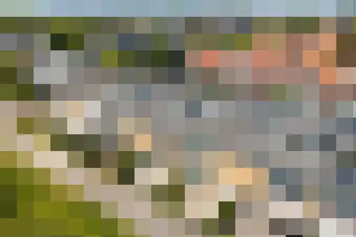 Goohorstlaan 15 Noordwijk thumbnail 41