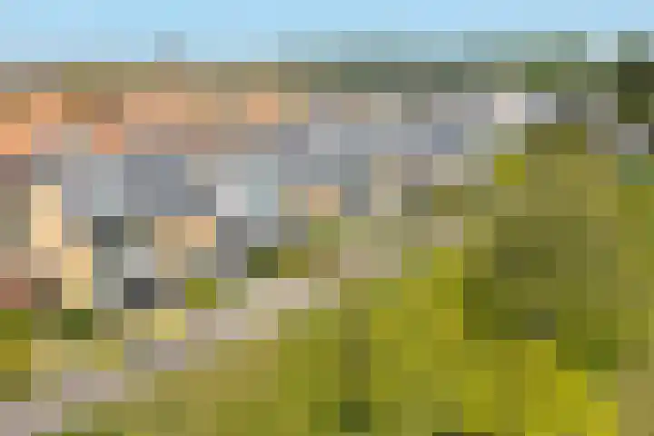 Goohorstlaan 15 Noordwijk thumbnail 42
