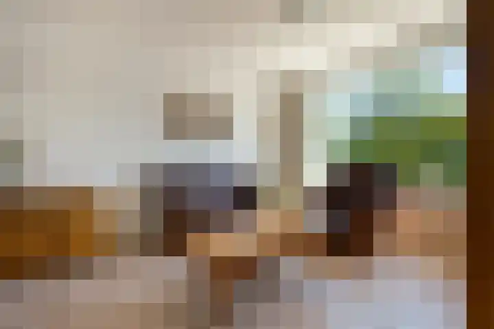 Goohorstlaan 15 Noordwijk thumbnail 5