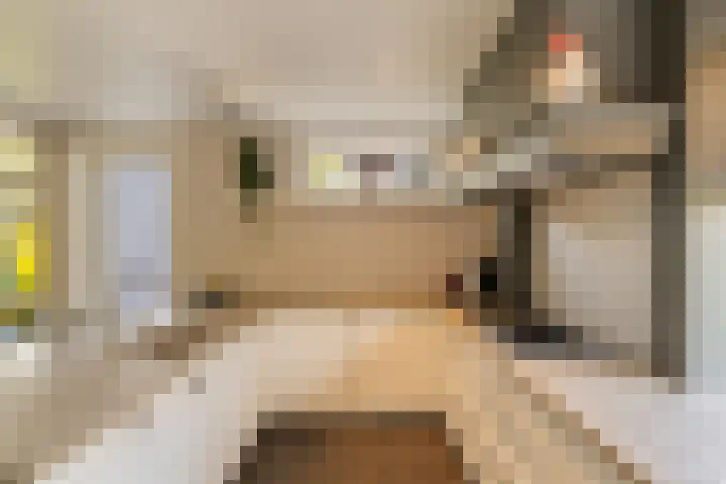 Goohorstlaan 5 Noordwijk thumbnail 19