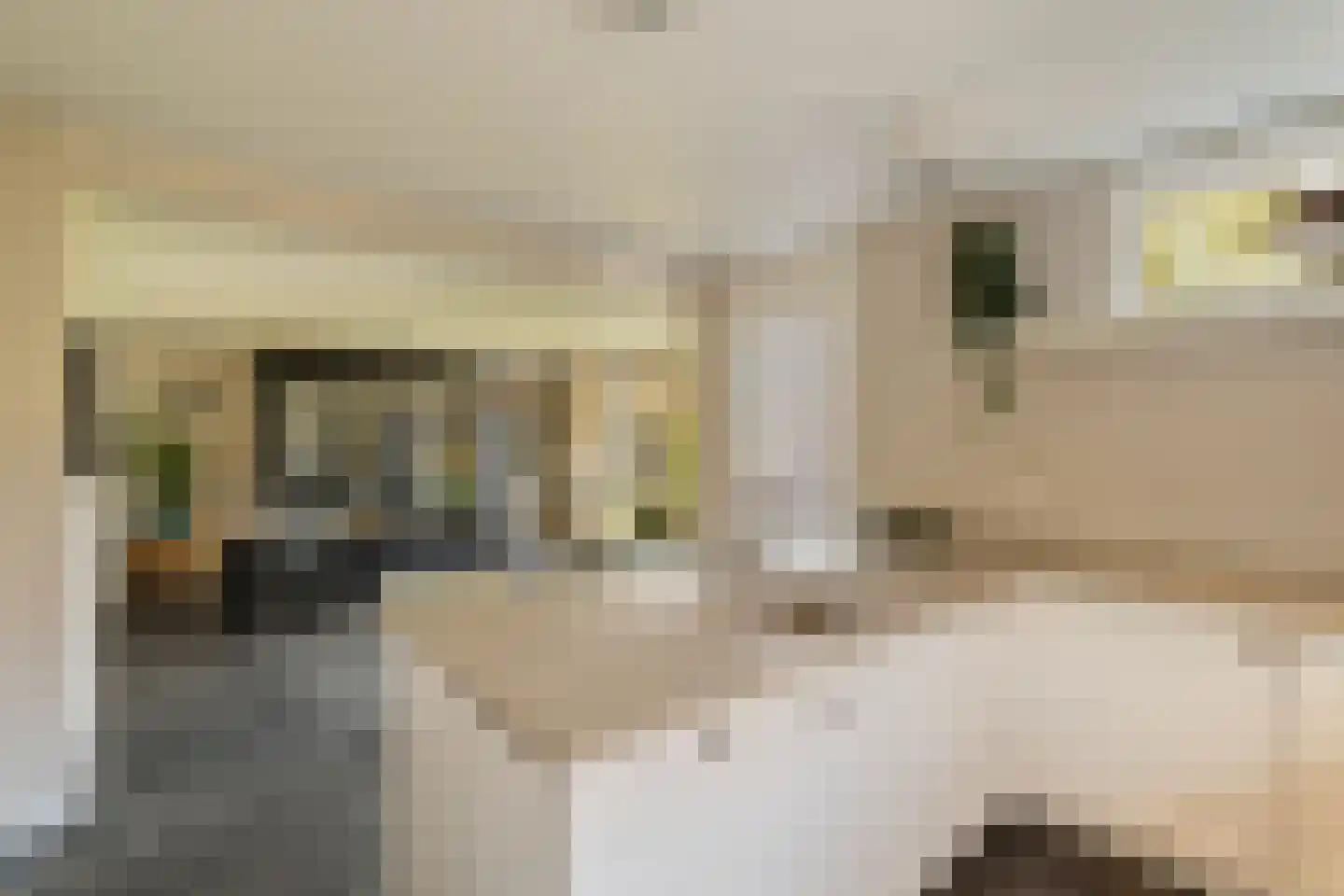 Goohorstlaan 5 Noordwijk thumbnail 20