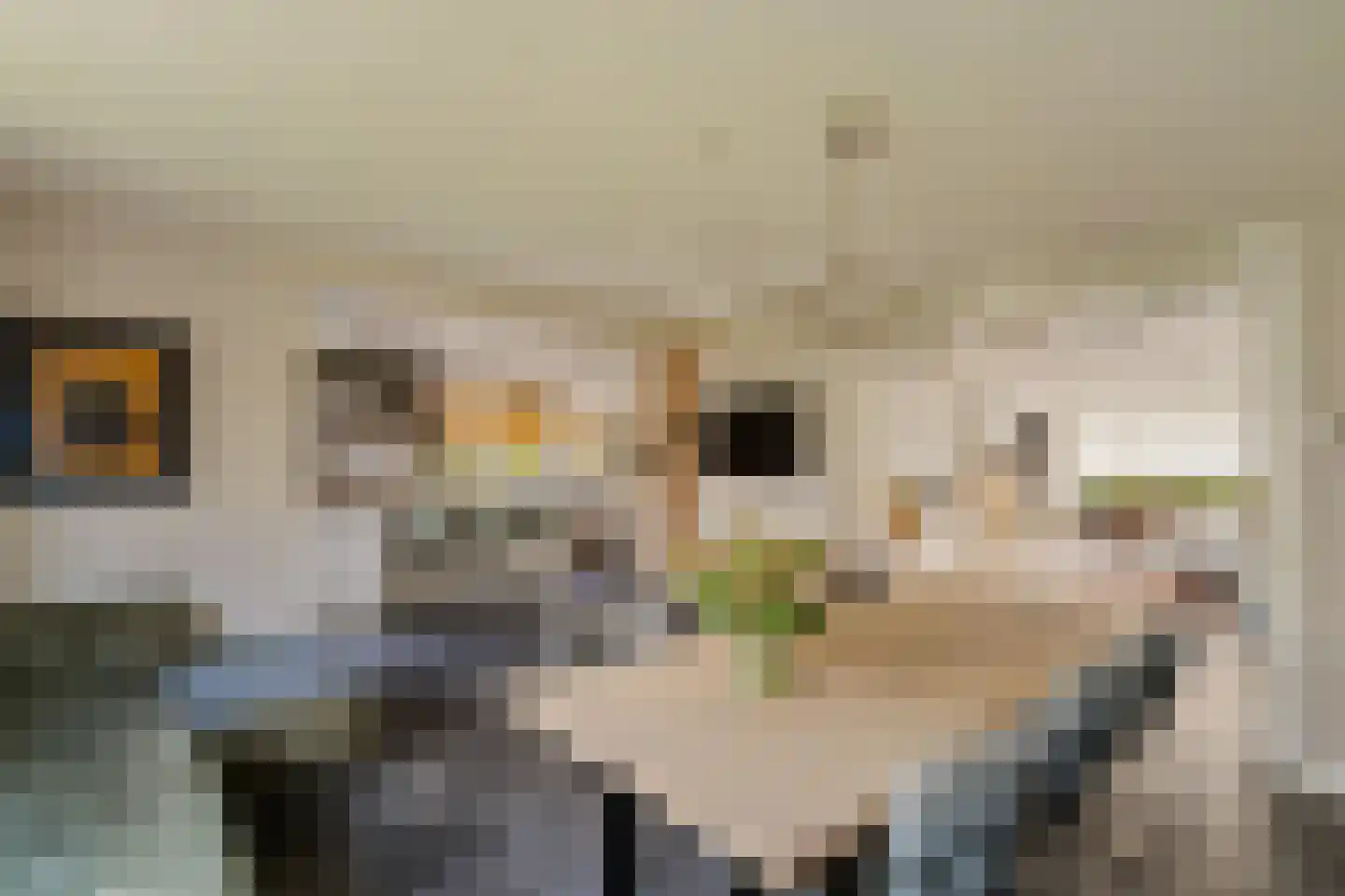 Goohorstlaan 5 Noordwijk thumbnail 21