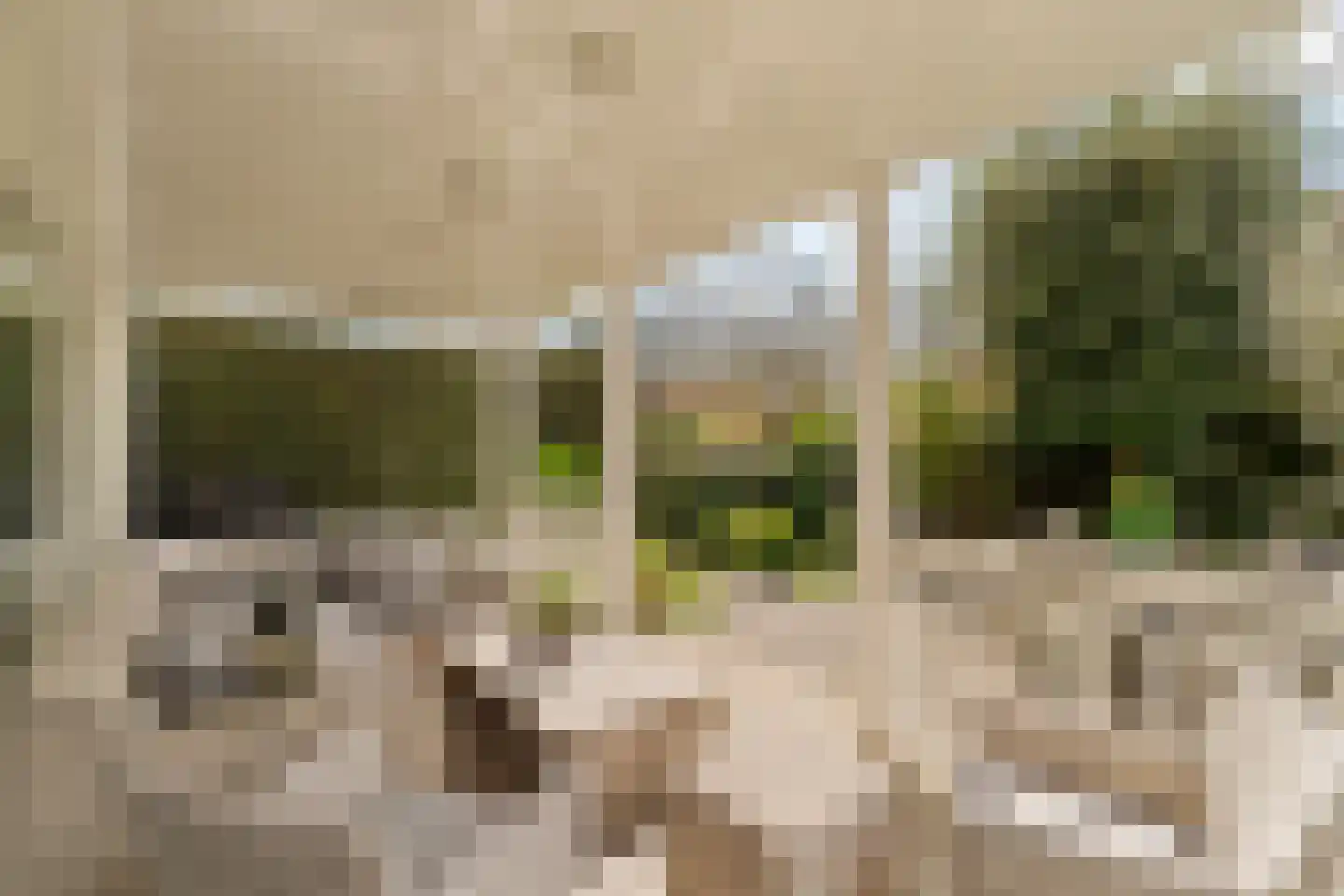 Goohorstlaan 5 Noordwijk thumbnail 24