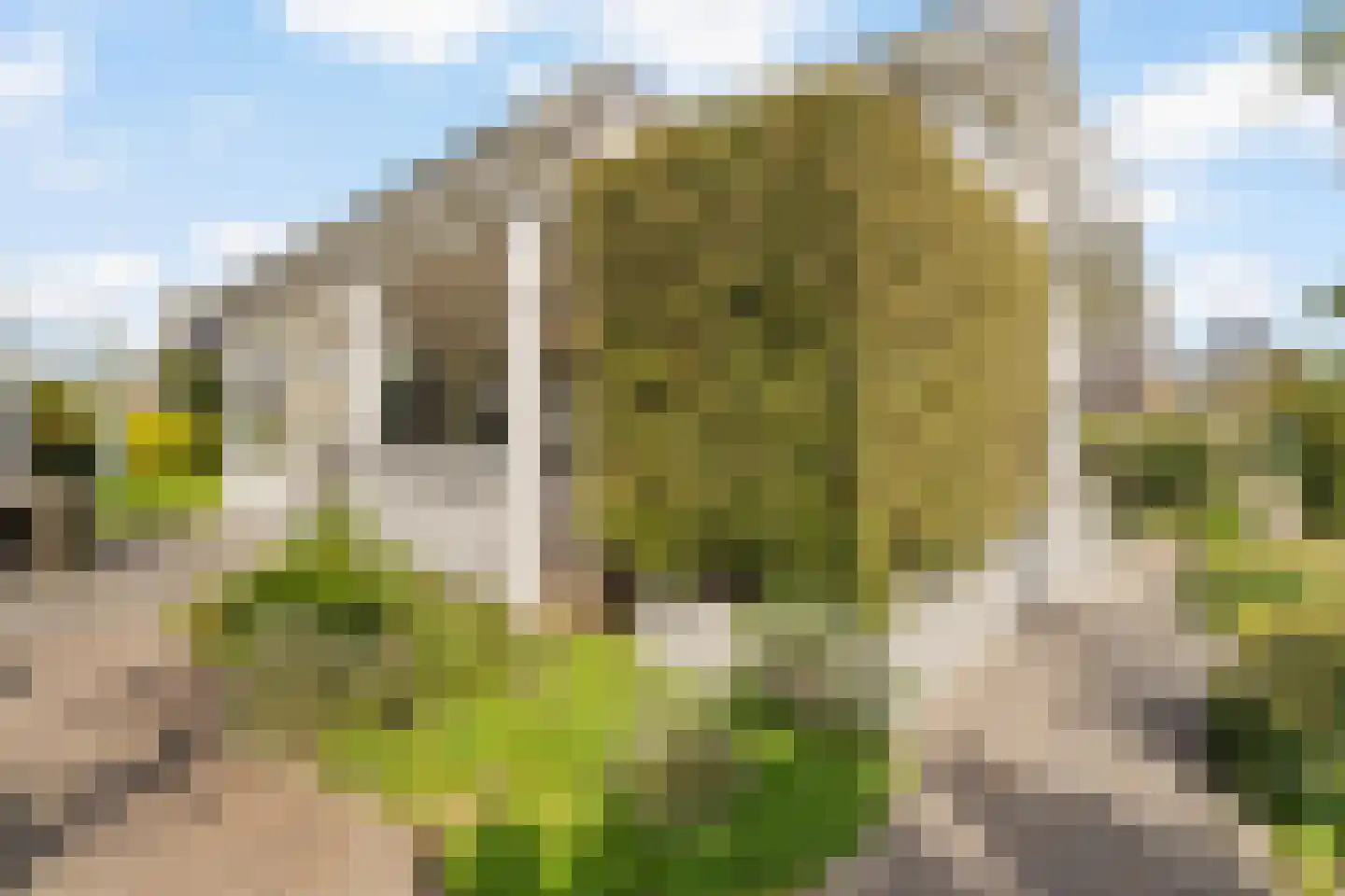 Goohorstlaan 5 Noordwijk thumbnail 25