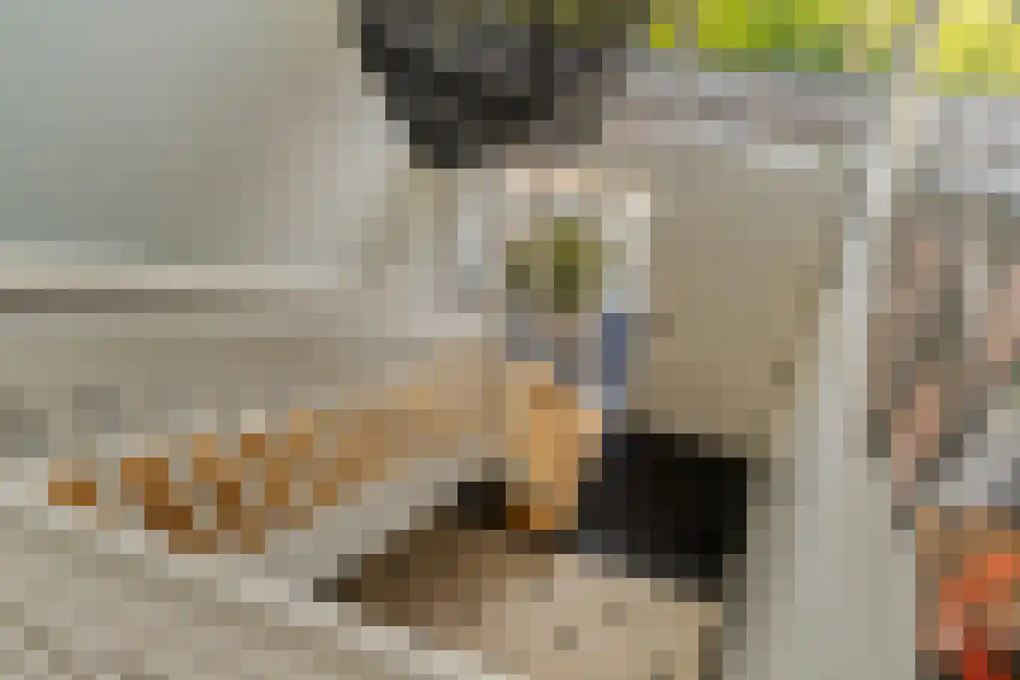 Goohorstlaan 5 Noordwijk thumbnail 31
