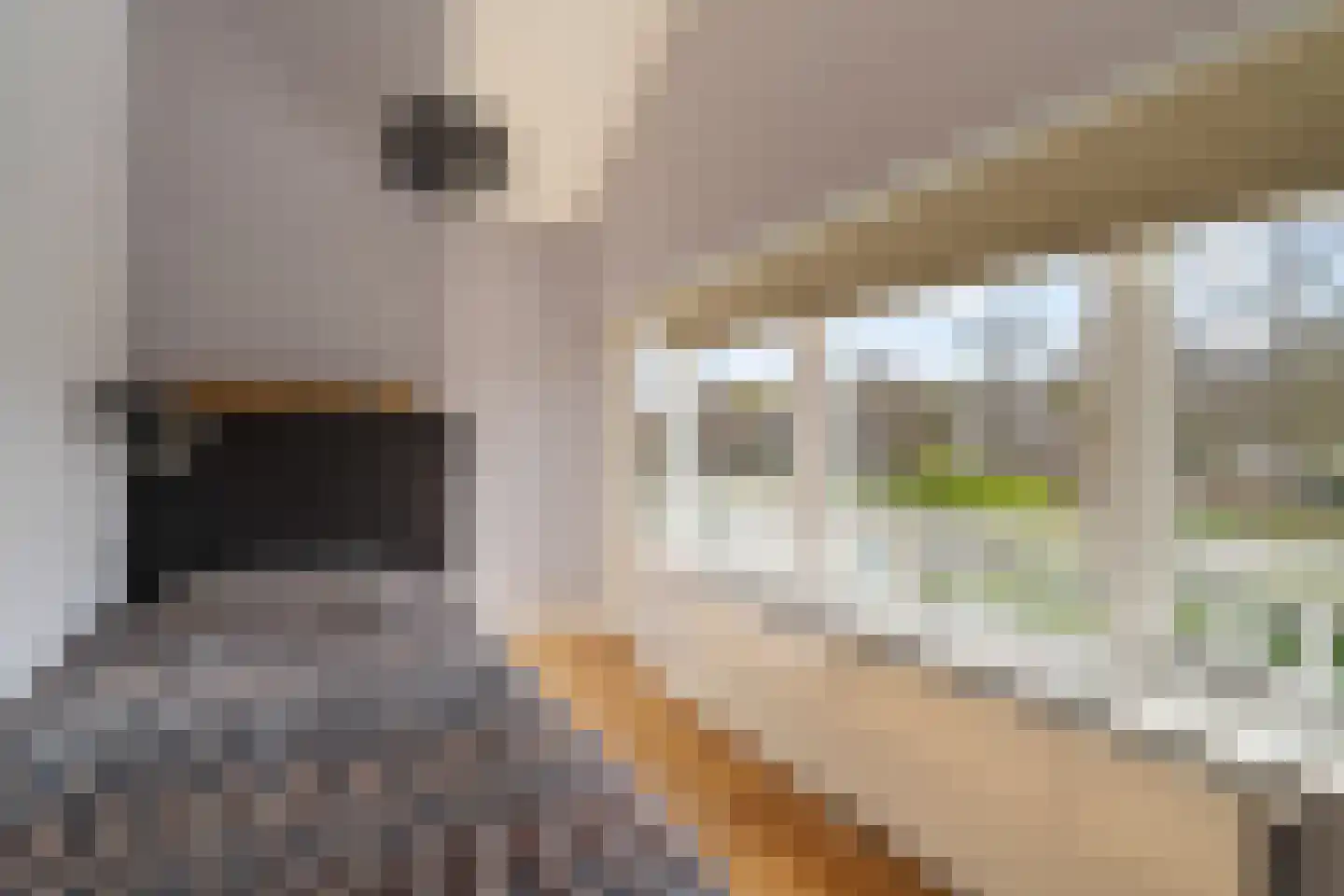 Goohorstlaan 5 Noordwijk thumbnail 39