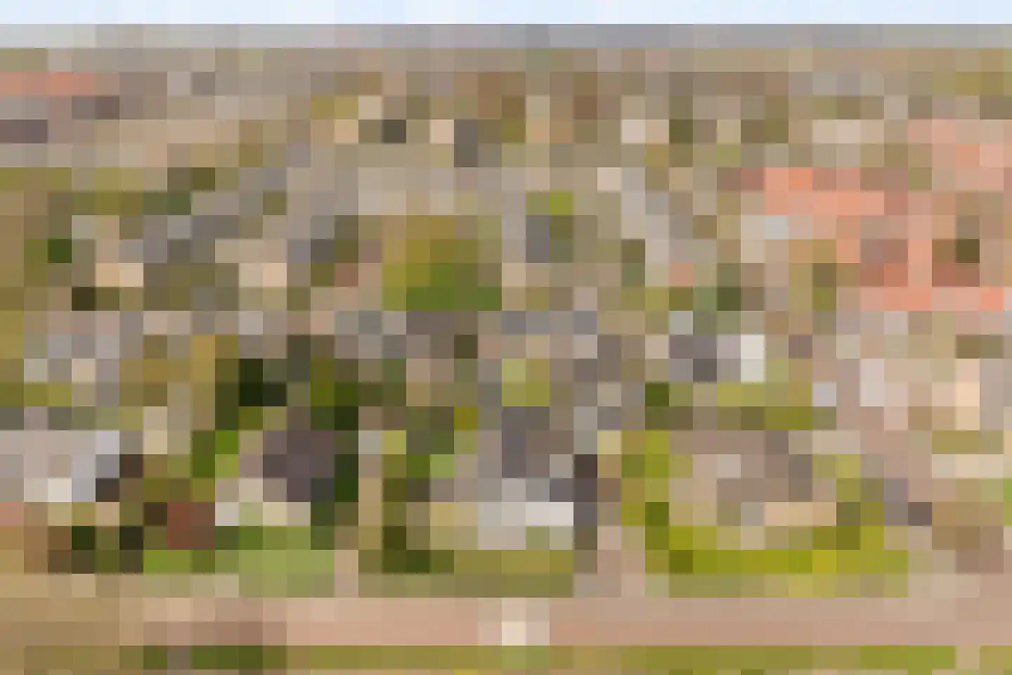 Goohorstlaan 5 Noordwijk thumbnail 4