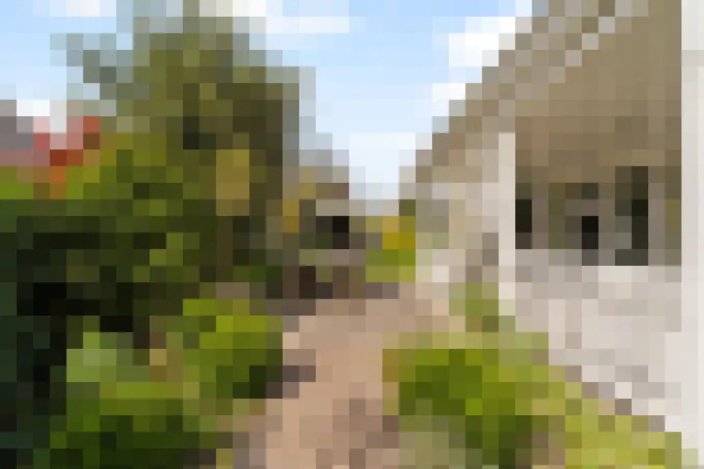 Goohorstlaan 5 Noordwijk thumbnail 49