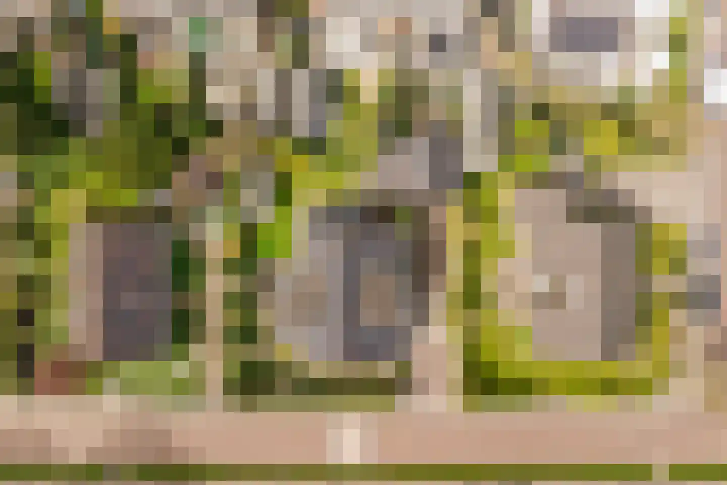 Goohorstlaan 5 Noordwijk thumbnail 52