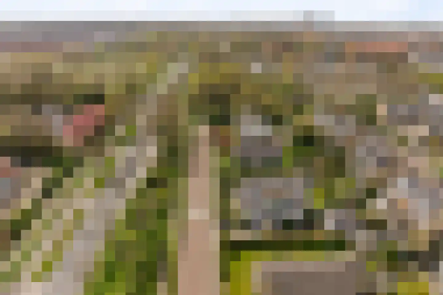 Goohorstlaan 5 Noordwijk thumbnail 53