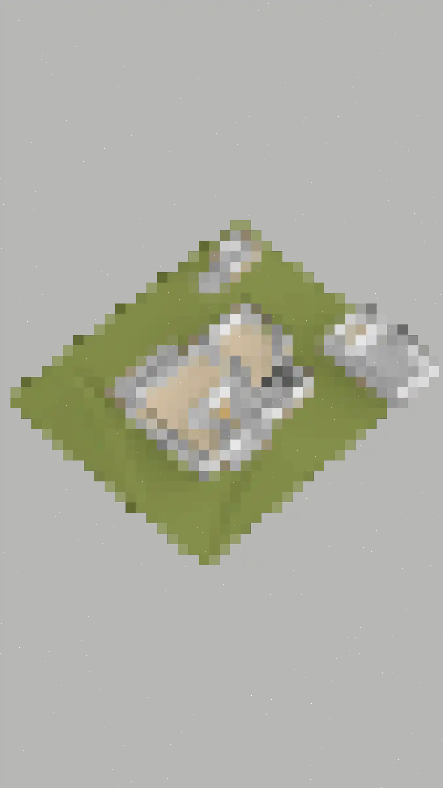 Goohorstlaan 5 Noordwijk thumbnail 60