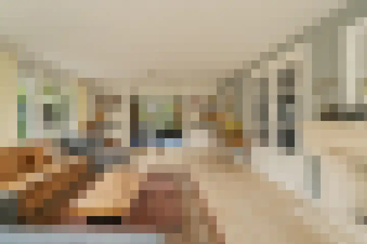 Goohorstlaan 5 Noordwijk thumbnail 8