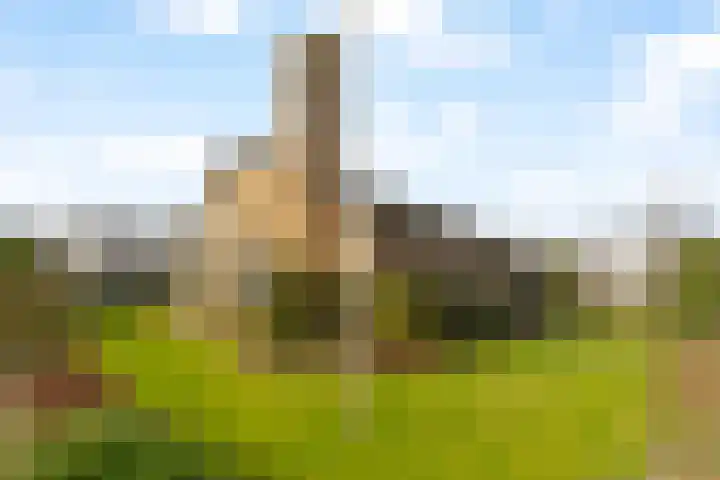 Goohorstlaan 7 Noordwijk