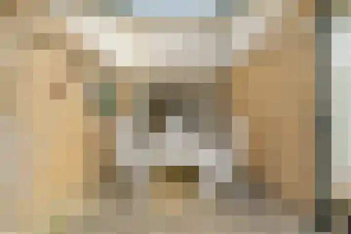 Goohorstlaan 7 Noordwijk thumbnail 14