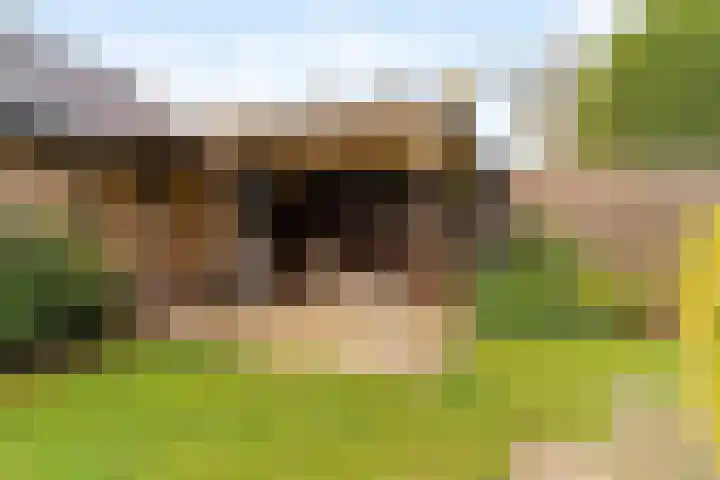 Goohorstlaan 7 Noordwijk thumbnail 16