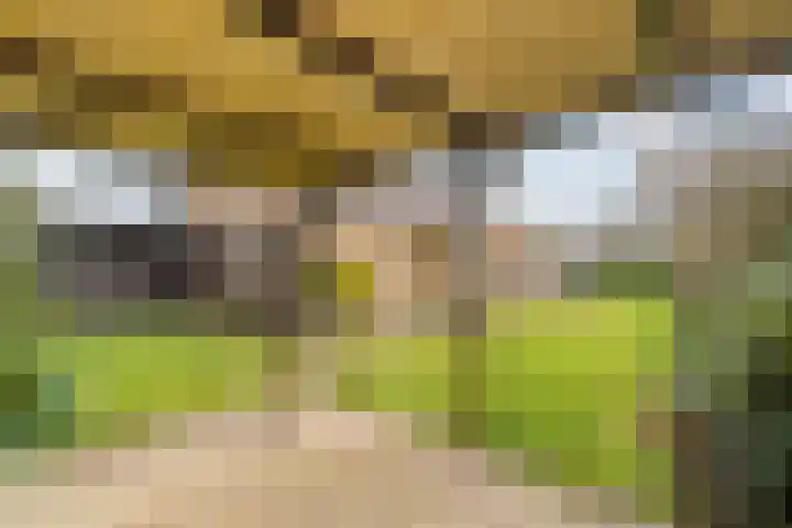Goohorstlaan 7 Noordwijk thumbnail 17
