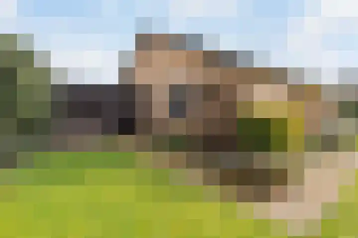 Goohorstlaan 7 Noordwijk thumbnail 18