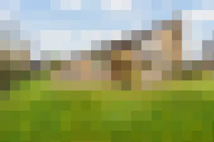 Goohorstlaan 7 Noordwijk thumbnail 19
