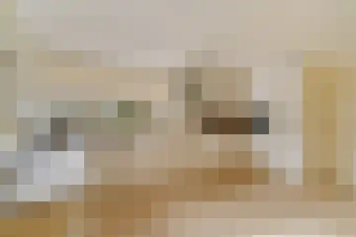 Goohorstlaan 7 Noordwijk thumbnail 20