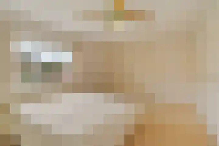 Goohorstlaan 7 Noordwijk thumbnail 24