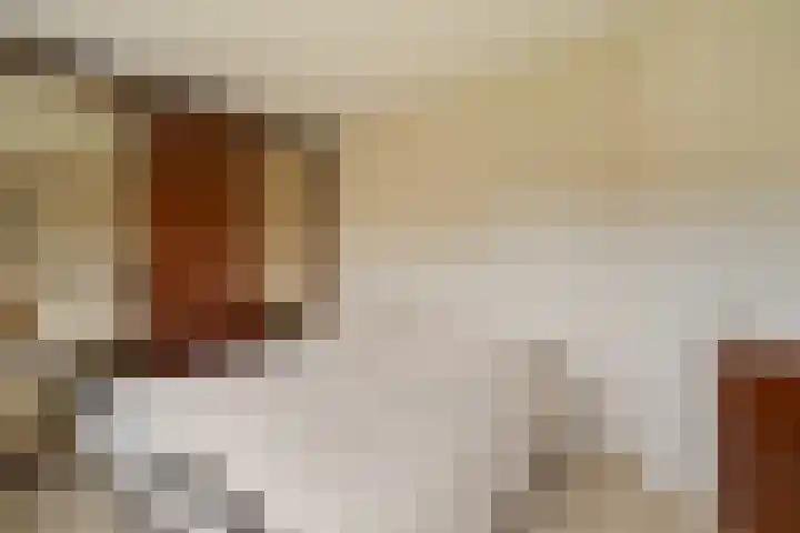 Goohorstlaan 7 Noordwijk thumbnail 29