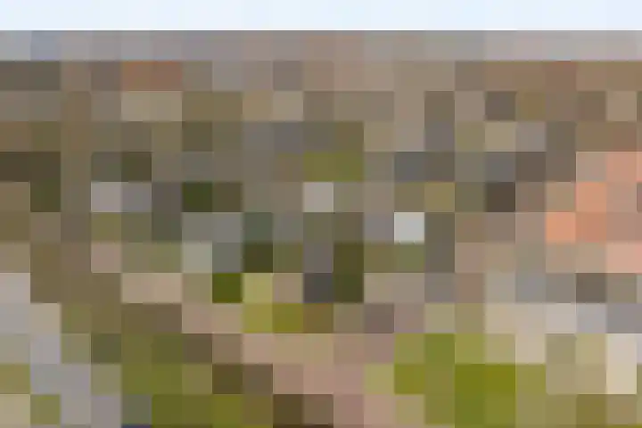 Goohorstlaan 7 Noordwijk thumbnail 32